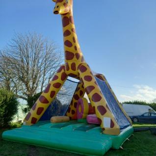 Structure girafe, bassin avec bateaux, toboggans, parcours