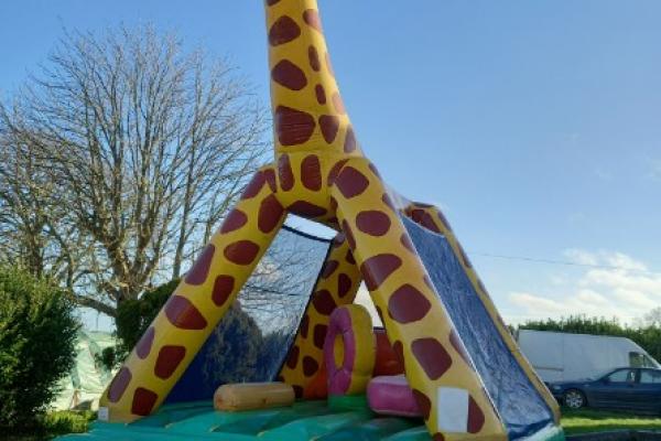 Structure girafe, bassin avec bateaux, toboggans, parcours