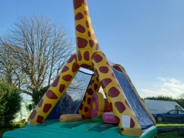 Structure girafe, bassin avec bateaux, toboggans, parcours